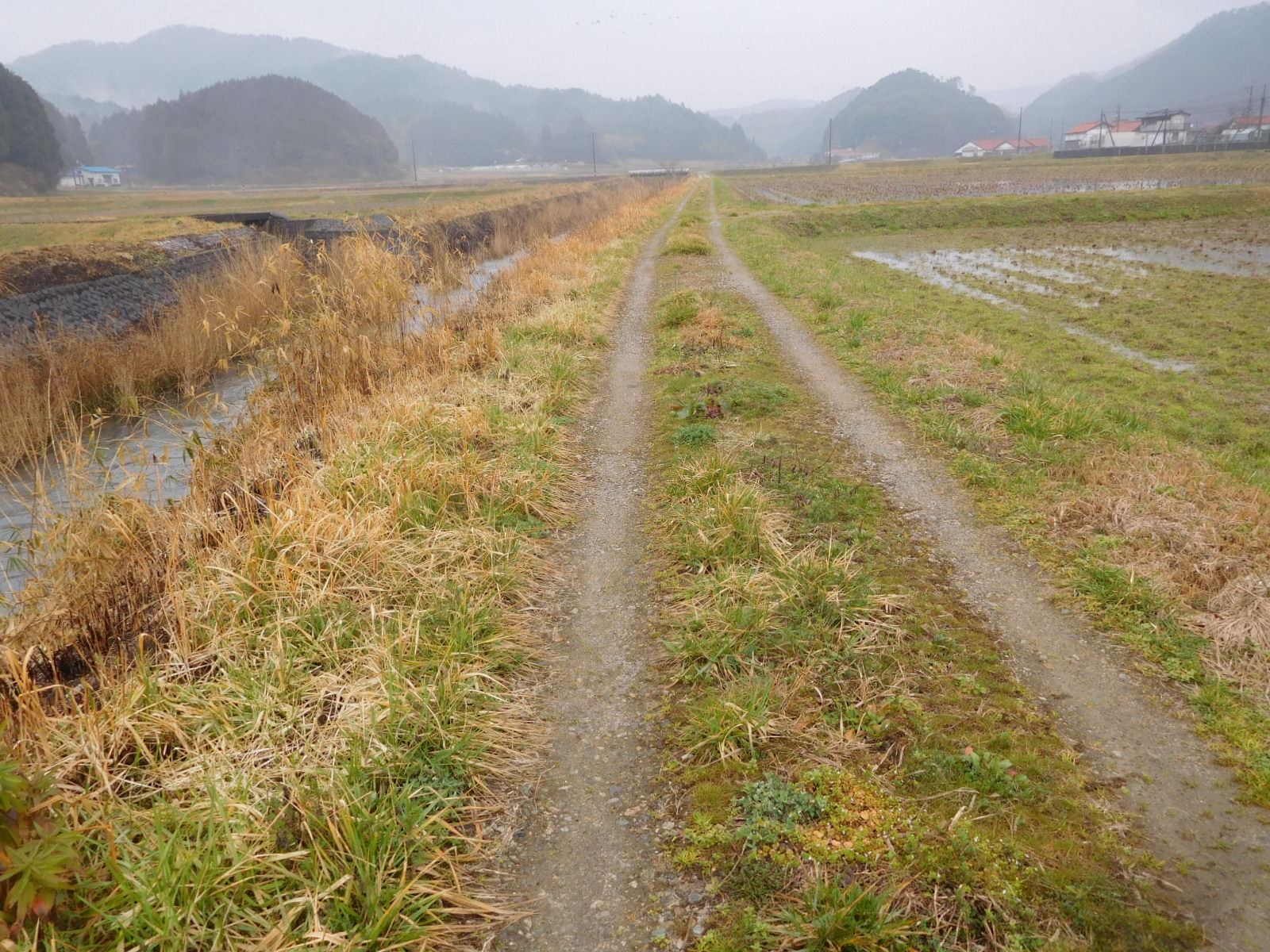 画像：【例】草刈り支援者募集します！
